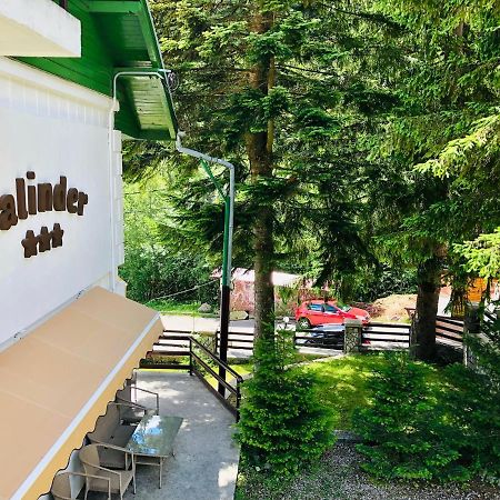Pensiune & Restaurant Kalinder Buşteni エクステリア 写真