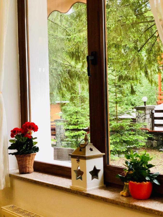 Pensiune & Restaurant Kalinder Buşteni エクステリア 写真