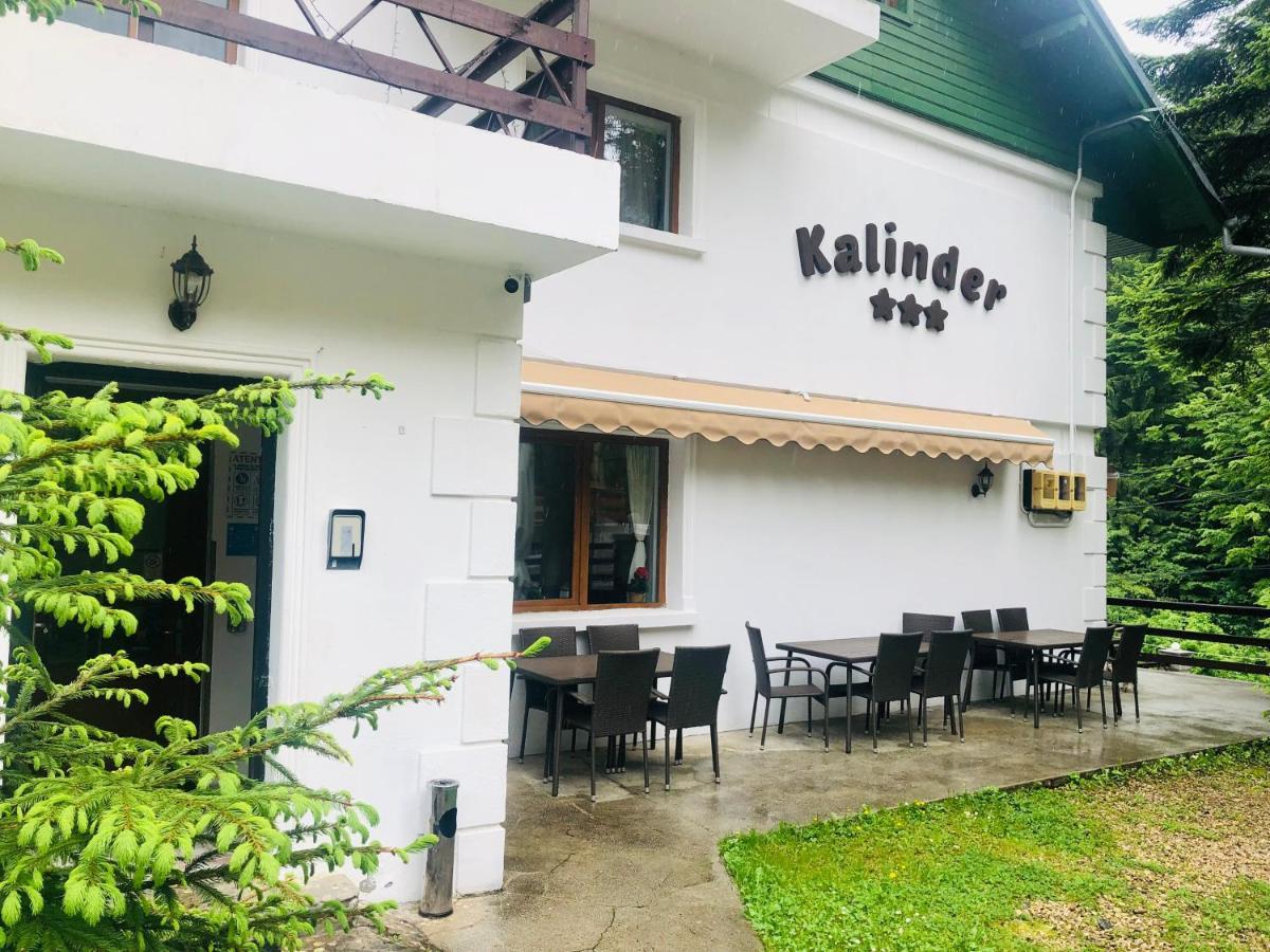 Pensiune & Restaurant Kalinder Buşteni エクステリア 写真
