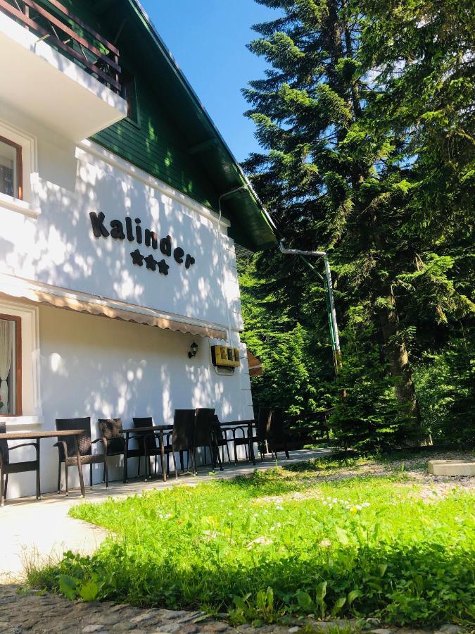 Pensiune & Restaurant Kalinder Buşteni エクステリア 写真