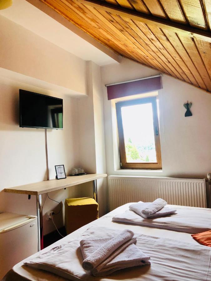 Pensiune & Restaurant Kalinder Buşteni エクステリア 写真