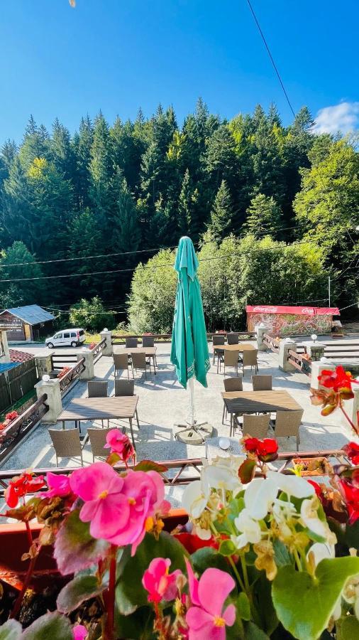 Pensiune & Restaurant Kalinder Buşteni エクステリア 写真